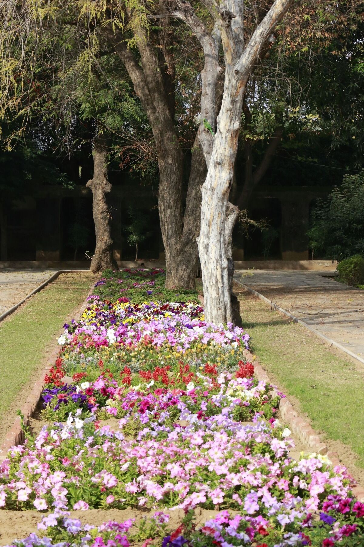 Samode Bagh Sāmod Exterior foto